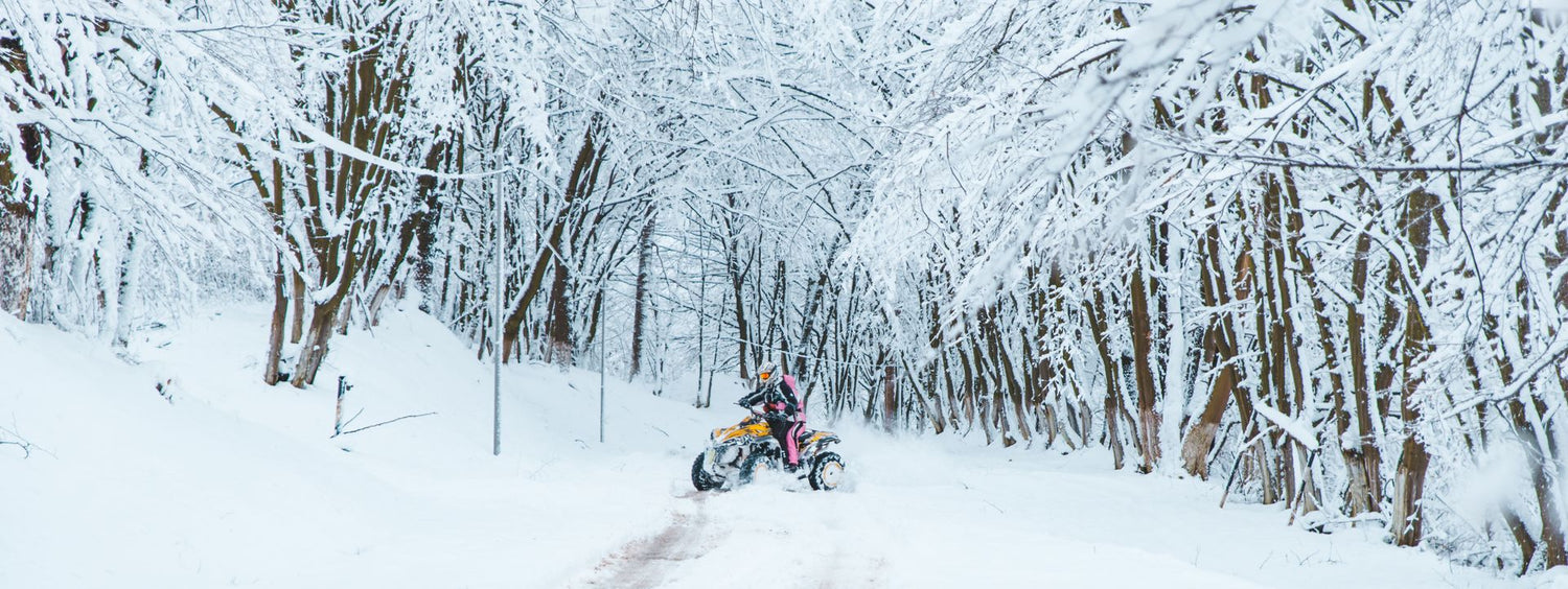 Hide and Seek with Santa: The Ultimate Christmas Delivery Solution - Quad Warehouse