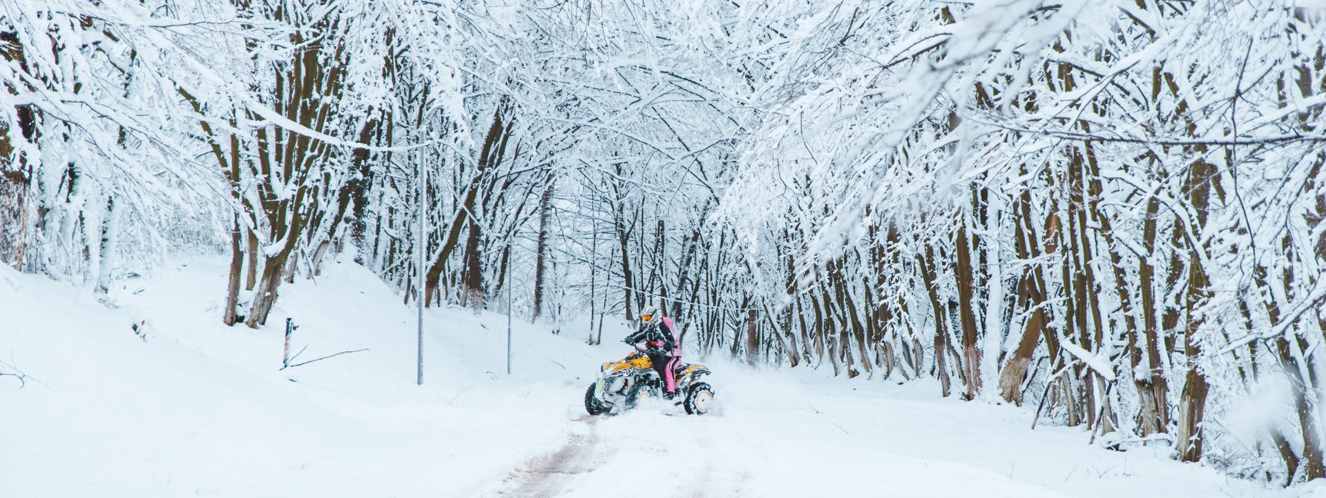 Hide and Seek with Santa: The Ultimate Christmas Delivery Solution - Quad Warehouse