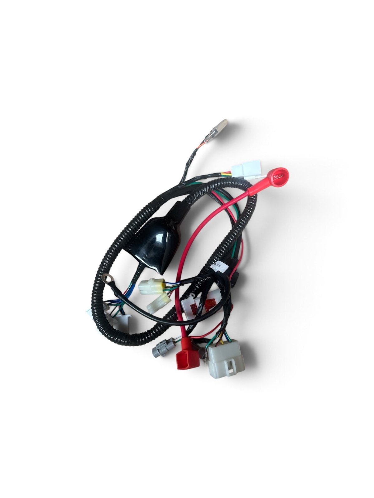 BRZ Adult Racing Pro 250cc 19/16" Big Wheel Off-Road Dirt Bike Main Wiring Loom - Quad Warehouse