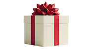 Christmas Shipping — Hold until December - Quad Warehouse
